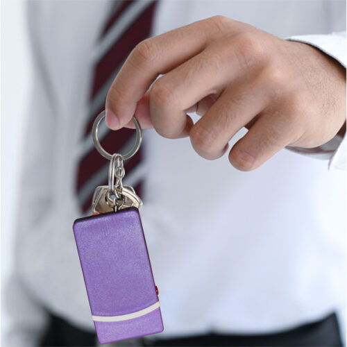 Fang Keychain Stun Gun and Flashlight with Battery Meter